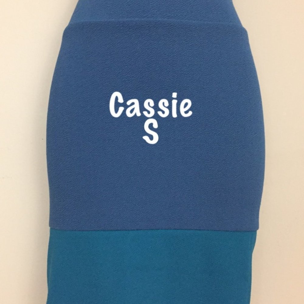 LuLaRoe Cassie NWT pencil skirt
